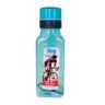 ICY Freezer Water Bottle 750 ml